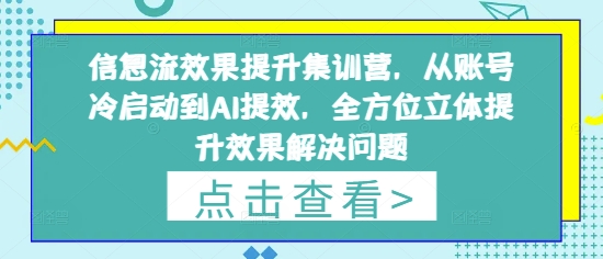 信息流效果提升集训营，从账号冷启动到AI提效，全方位立体提升效果解决问题-项目创薪