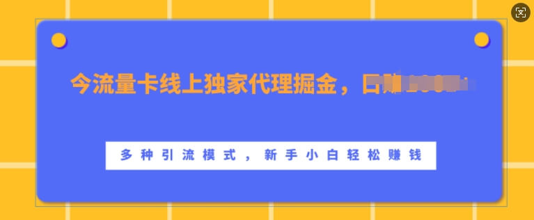流量卡线上独家代理掘金，日入1k+ ，多种引流模式，新手小白轻松上手【揭秘】-项目创薪