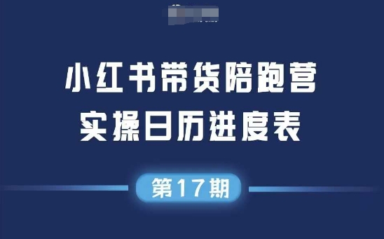 小红书第17期带货陪跑营，不囤货，无不直播，无不投流，通过选品+笔记内容+测品+笔记铺量+矩阵运营打爆款-项目创薪