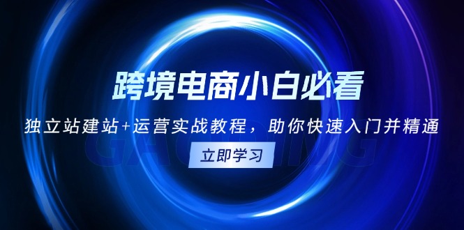 跨境电商小白必看！独立站建站+运营实战教程，助你快速入门并精通-项目创薪