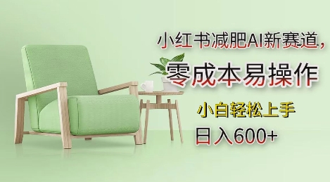 小红书减肥AI新赛道，零成本易操作，日入多张，小白轻松上手【揭秘】-项目创薪