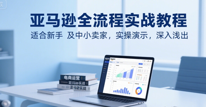 亚马逊全流程实战教程，适合新手及中小卖家，实操演示，深入浅出-项目创薪