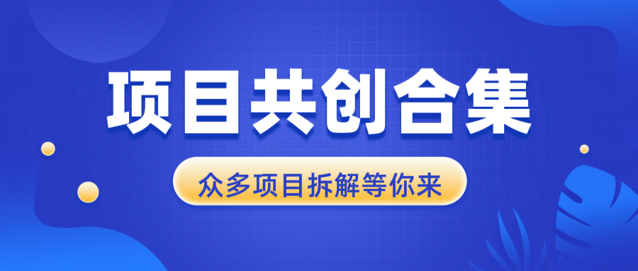项目共创合集，从0-1全过程拆解，让你迅速找到适合自已的项目-项目创薪