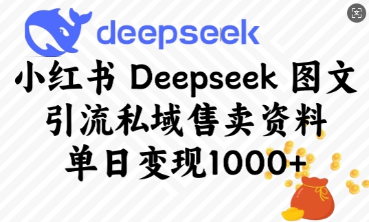 小红书Deepseek图文引流私域售卖资料，单日变现多张-项目创薪