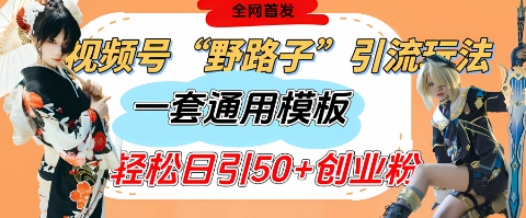 视频号“野路子”玩法，评论区疯狂截流，一套模板单日单号引流50+创业粉-项目创薪
