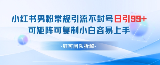 小红书男粉常规引流不封号日引99+变现简单 可矩阵可复制小白容易上手-项目创薪