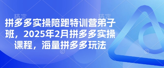 拼多多实操陪跑特训营弟子班，2025年2月拼多多实操课程，海量拼多多玩法-项目创薪