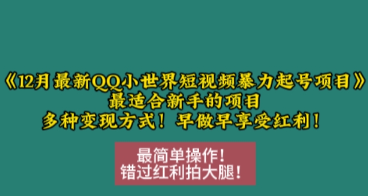 12月最新QQ小世界短视频暴力起号项目，最适合新手的项目，多种变现方式-项目创薪