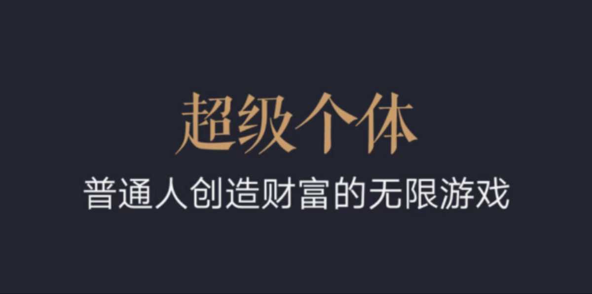 超级个体：2024-2025翻盘指南，普通人创造财富的无限游戏-项目创薪