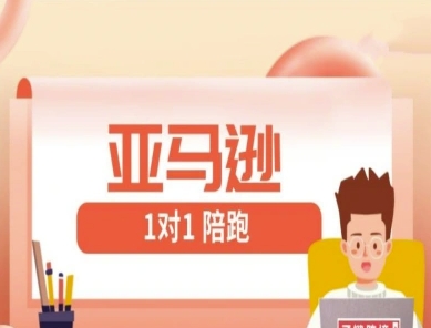 亚马逊1对1陪跑课(FBA/FBM精铺)跨境亚马逊教程-项目创薪