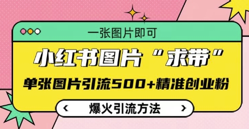 小红书图片‘求带’爆火引流法，单张图片引流500+精准创业粉【揭秘】-项目创薪