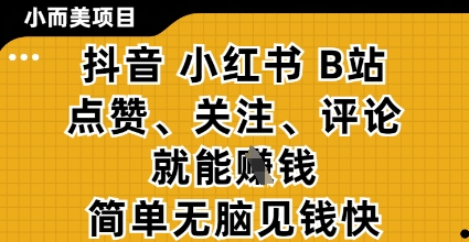 小而美的项目，抖音小红书B站视频点赞、关注、评论就能挣钱，简单无脑立见收益，妥妥的零撸项目【揭秘】-项目创薪