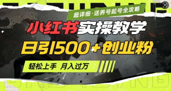 2月小红书最新日引500+创业粉实操教学【超详细】小白轻松上手，月入1W+，附小红书养号起号SOP-项目创薪