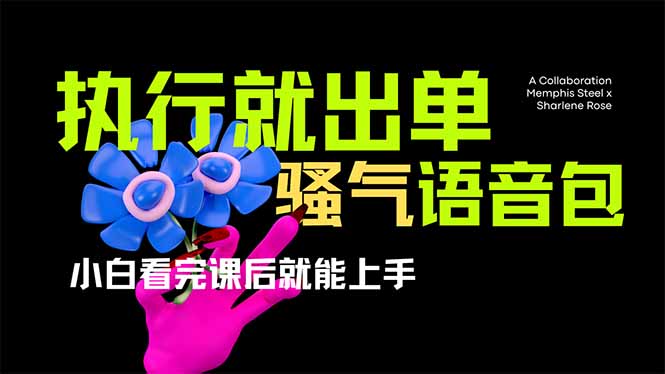 爆火全网的开车导航骚气语音包,只要执行就出单，小白看完课程就能实操…-项目创薪
