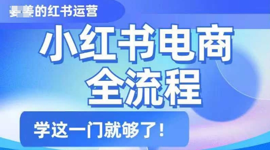 小红书电商全流程，精简易懂，从入门到精通，学这一门就够了-项目创薪