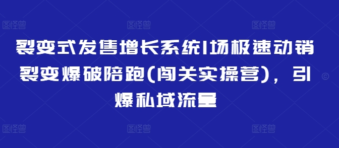 裂变式发售增长系统1场极速动销裂变爆破陪跑(闯关实操营)，引爆私域流量-项目创薪