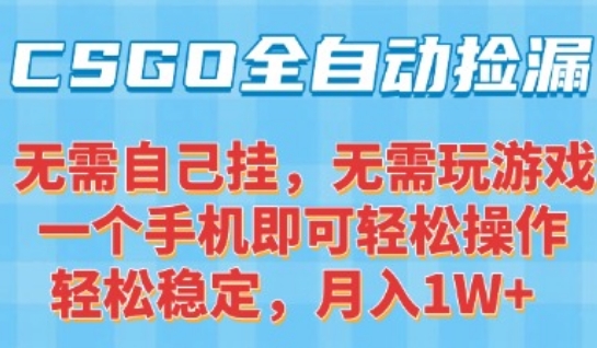 CSGO自动捡漏项目，最新独家玩法，一个手机可操作，新手小白轻松月入1W+，操作简单易上手【揭秘】-项目创薪
