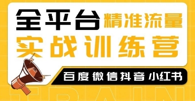 全平台精准流量实战训练营，百度微信抖音小红书SEO引流教程-项目创薪
