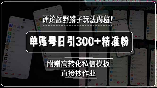 评论区野路子玩法揭秘！单账号日引300+精准粉，附赠高转化私信模板，直…-项目创薪