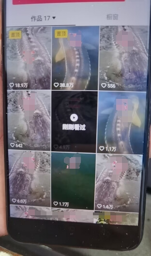 外面卖399的国学佛像原创暴力起号技术，快速起号，7天可达到一个万粉号-项目创薪
