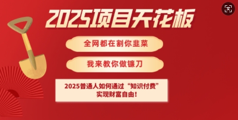2025项目天花板普通人如何通过知识付费，实现财F自由【揭秘】-项目创薪